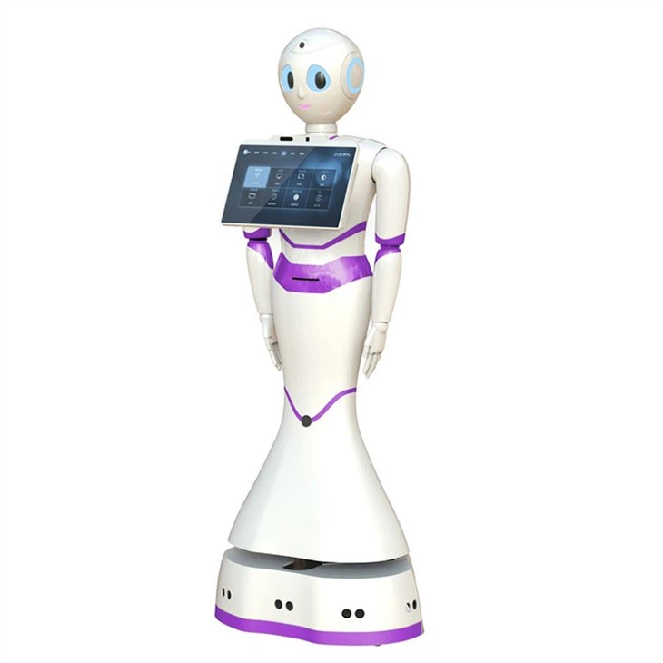 Commercial humanoid reception service robot suppliers